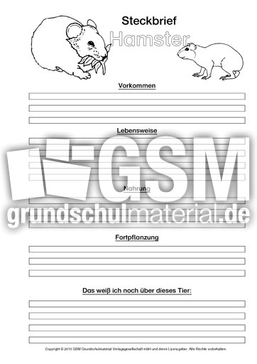 Hamster-Steckbriefvorlage-sw-2.pdf
